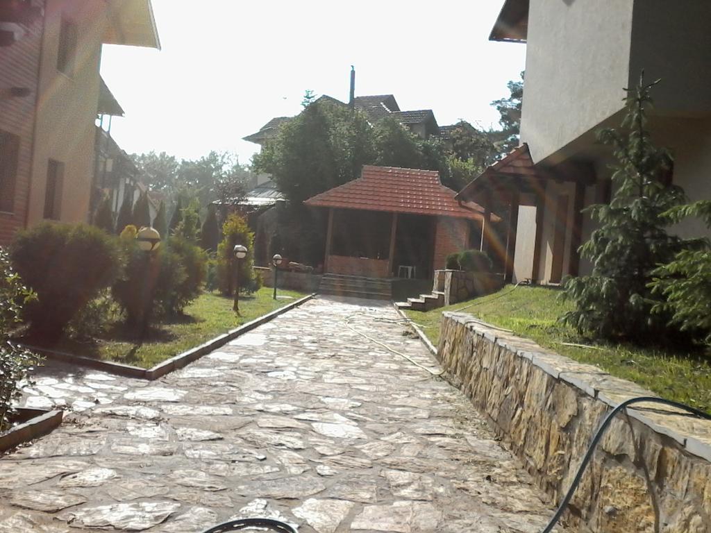 Joksimovic *